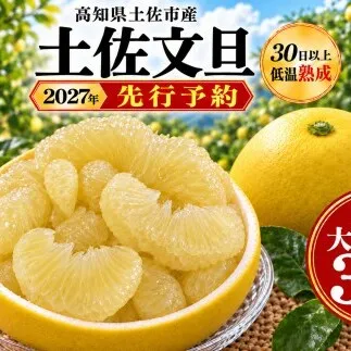 土佐文旦 大小混合 3kg 家庭用 大玉と小玉の詰め合わせ 日本ギフト大賞受賞 文旦発祥の地 園主こだわり 食べ比べ 高知県土佐市産 高知県産 国産 3キロ ぶんたん ブンタン みかん 柑橘類 高級フルーツ 果物 産地直送 お取り寄せ ギフト 季節限定 先行予約 やの一果彩[BQAC044]