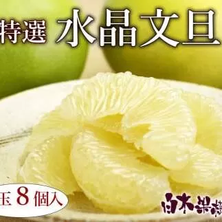 【先行予約】高知県産水晶文旦?特選ご贈答用?特大7個もしくは大玉8個〈2026年10月上旬〜11月上旬頃発送〉【白木果樹園】 [BQAI018]