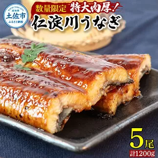 【数量限定！】仁淀川特大肉厚うなぎ5尾セット タレ付き うなぎ 鰻 ウナギ 国産 蒲焼き かば焼き 1尾200g超え 仁淀川 太化うなぎ 【株式会社山本養鰻】 [BQAL002]