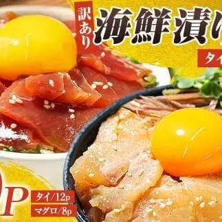 訳あり海鮮漬け丼（タイ12P・マグロ8P）セット 漬け丼 漬け 鯛 鮪 マグロ 赤身 食べ比べ 海鮮 魚 冷凍 食品 保存食 小分け 高知 土佐 海鮮丼 漬け丼 ぶっかけ お茶漬け 鯛めし 【企業組合　宇佐もん工房】 [BQAB031]