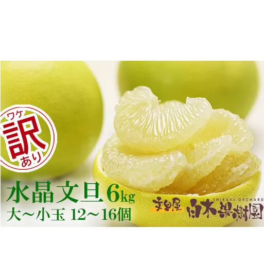 【先行予約】水晶文旦 ご家庭用お得箱 約６kg Mサイズ〜４Ｌサイズ（12〜１６個入り）〈2026年10月上旬〜11月上旬頃発送〉訳あり ワケあり 訳 傷 キズ へこみ 文旦 ブンタン ぶんたん 水晶文旦 果物 柑橘 フルーツ 家庭用 ご自宅用【白木果樹園】 [BQAI022]
