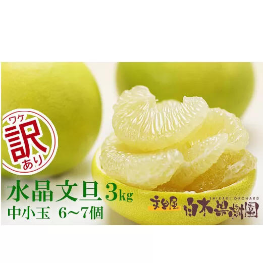 【先行予約】水晶文旦 ご家庭用お得箱 約３kg Lサイズ〜２Ｌサイズ （６〜７個入り）〈2026年10月上旬〜11月上旬頃発送〉訳あり ワケあり 訳 傷 キズ へこみ 文旦 ブンタン ぶんたん 水晶文旦 果物 柑橘 フルーツ 家庭用 ご自宅用【白木果樹園】 [BQAI021]