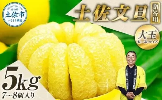 【先行予約】【果樹園直送】土佐文旦 特選品贈答用 約5kg 3L〜4Lサイズ 7〜8個入り 〈2027年2月中旬〜3月下旬頃発送〉大玉 ぶんたん ブンタン フルーツ 柑橘 みかん 果物 くだもの 柑橘類 デザート 【白木果樹園】 [BQAI001]