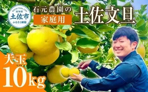 【先行予約】石元農園の土佐文旦 家庭用 大玉 約10キロ 10kg 3Lサイズ 4Lサイズ 〈2027年2月〜発送〉文旦 ブンタン ぶんたん 柑橘 かんきつ 柑橘類 みかん フルーツ デザート おやつ 果物 高知 名物 傷 汚れ 家庭用 ご自宅用【石元農園】 [BQBH004]
