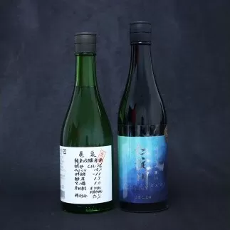 仁淀川純米大吟醸 CEL-24 亀泉純米吟醸 CEL-24 2本セット 高知県 土佐市 こうち 返礼品
