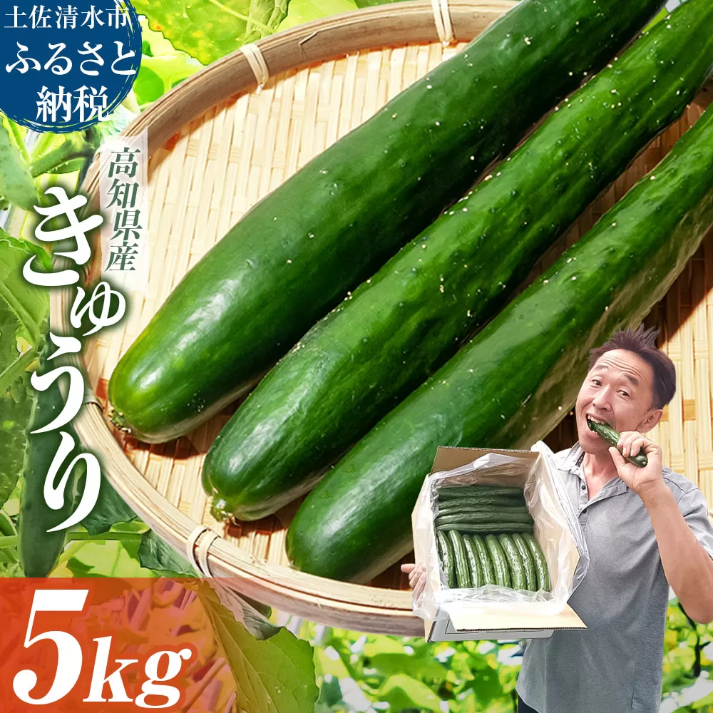 令和７年11月発送予定　きゅうり 5kg 5キロ キュウリ 野菜 新鮮 サラダ 漬物 浅漬け ぬか漬け 酢の物 炒め物 健康 高知県 土佐清水市 夏野菜【R01452】