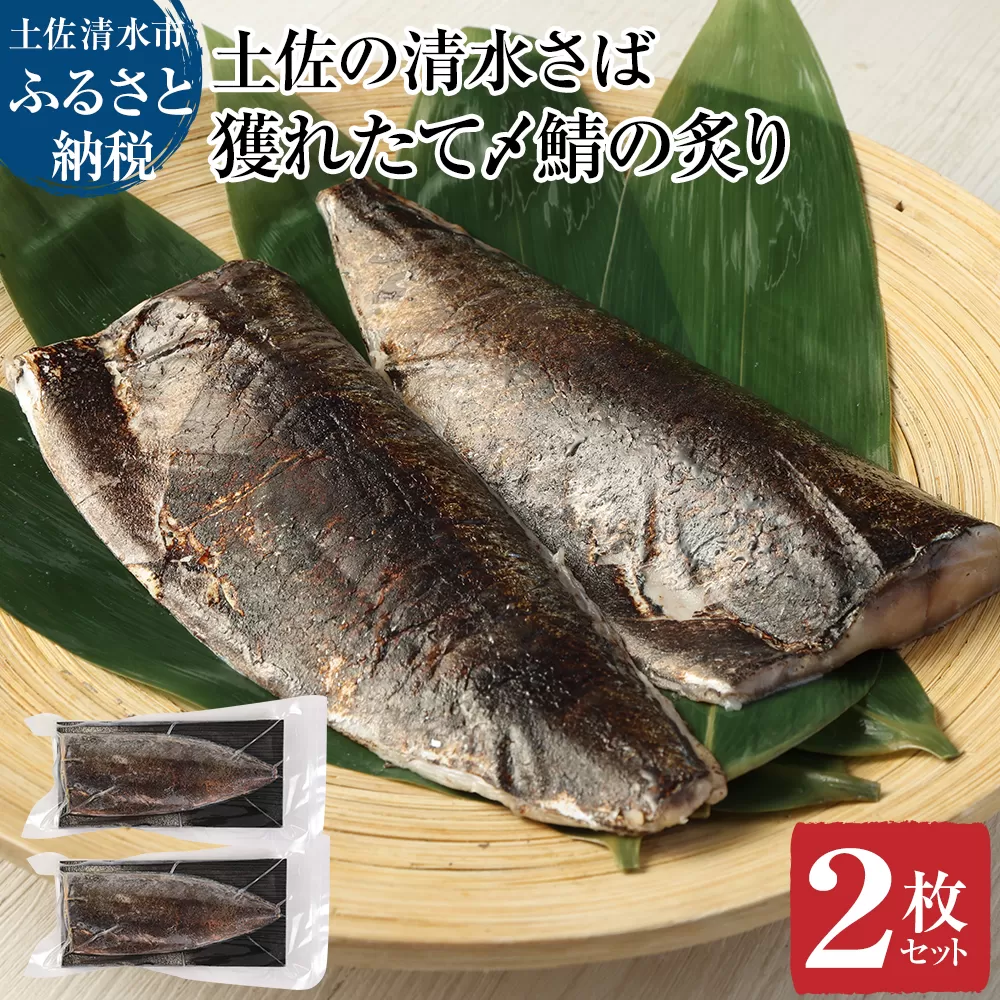 獲れたて土佐の清水さば 炙り〆鯖2枚セット(ブランドゴマサバ・1枚あたり約170g〜210g)刺身 フィレ 寿司 おつまみ