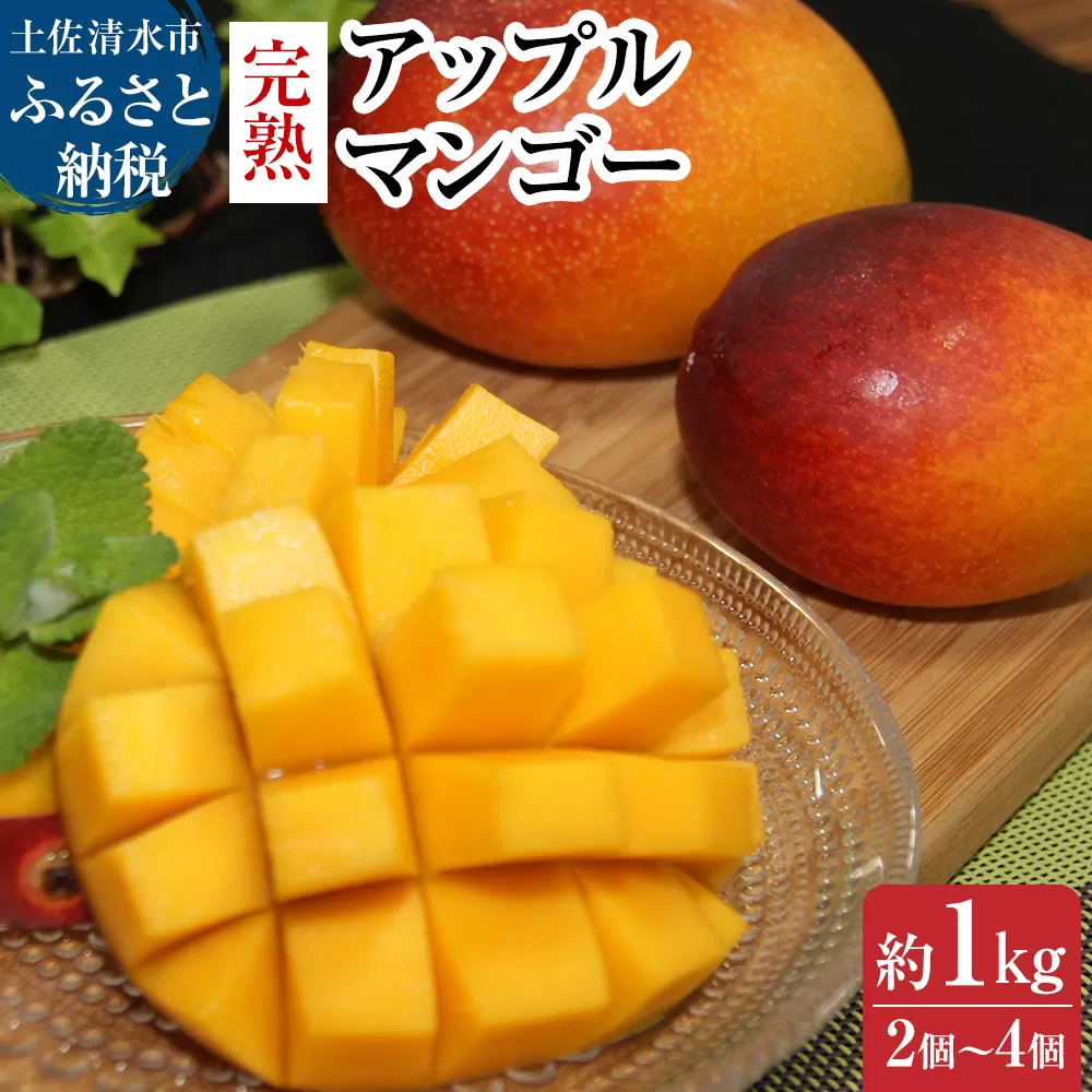 完熟アップルマンゴー１kg（２個〜４個入り）先行予約 アーウィン種 南国フルーツ 果物【R00520】