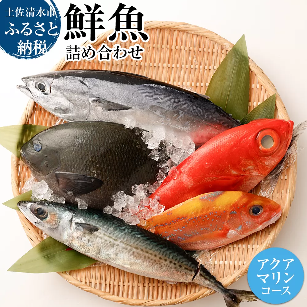 おまかせ！季節の鮮魚 お楽しみセット（アクアマリンコース）天然魚 食べ比べ 魚介類 海鮮料理 お楽しみ セット 詰め合わせ 鮮魚 魚 刺し身 煮付け 15000円  土佐清水市 高知【R01094】