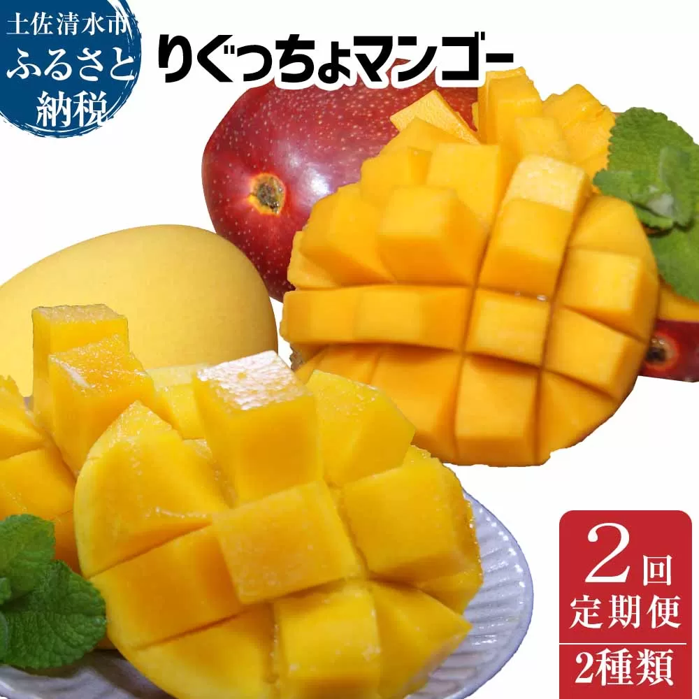 完熟マンゴー 2種【2回定期便】アップルマンゴー 金蜜マンゴー（各種１kg・２個～４個入り）レア品種 南国フルーツ 果物 果汁 濃厚 ジューシー デザート ギフト プレゼント 送料無料【J00025】