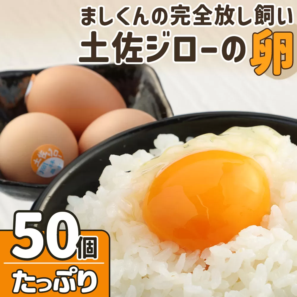 ましくんの完全放し飼い土佐ジローの卵　(25個入り×2箱)もみ殻梱包 ブランド卵 タマゴ 生卵 鶏卵 国産 地鶏 はなし飼い ご飯 美味しい 濃厚 朝食 ランチ グルメ 贅沢 送料無料【R00632】
