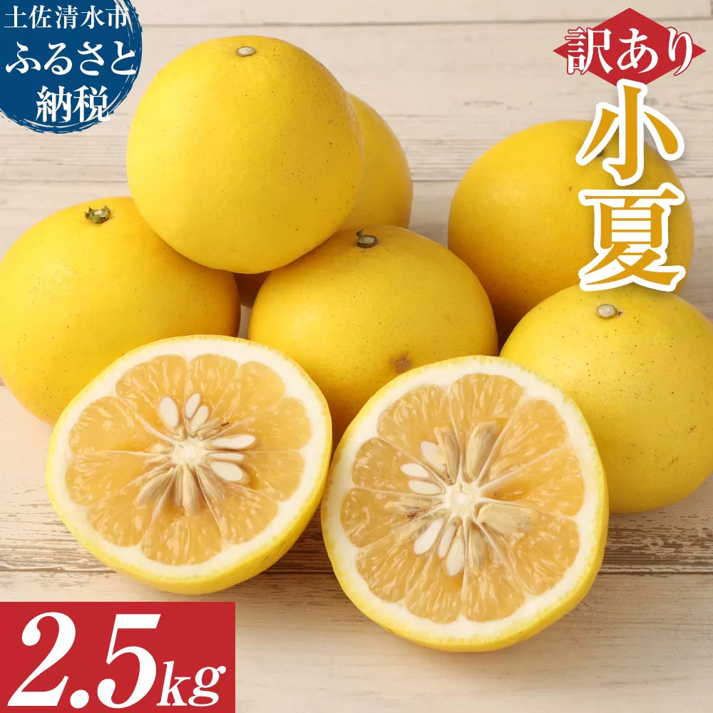 R8発送 先行予約【訳あり】オレンジ園の小夏2.5kg 日向夏 みかん 柑橘 フルーツ 果物 こなつ ﾆｭｰｻﾏｰｵﾚﾝｼﾞ 旬 2.5キロ 美味しい 食感 スッキリ 常温 国産 訳あり 高知県 土佐清水市【R01499】