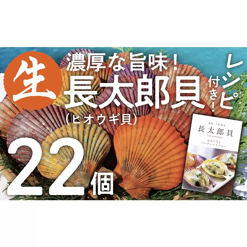 『先行予約』ヒオウギ貝22個セット（ホタテの仲間）アウトドア キャンプ 海鮮BBQ 魚貝 刺身 生 貝殻付 活 貝柱 酒蒸し バーベキュー【R00343】