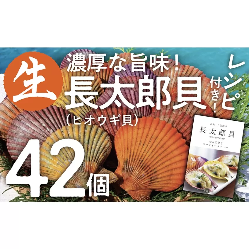 『先行予約』ヒオウギ貝42個セット（ホタテの仲間）アウトドア キャンプ 海鮮BBQ 魚貝 刺身 生 貝殻付 活 貝柱 酒蒸し バーベキュー【R00570】