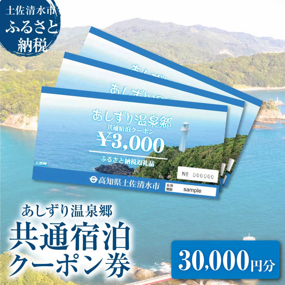 あしずり温泉郷 共通宿泊クーポン券 30,000円分 あしずり温泉郷 旅行券 トラベル ペア 家族 温泉 ホテル 観光 旅行 国内旅行 宿泊 宿泊施設 自然 旅館 高知県 土佐清水市【R01317】
