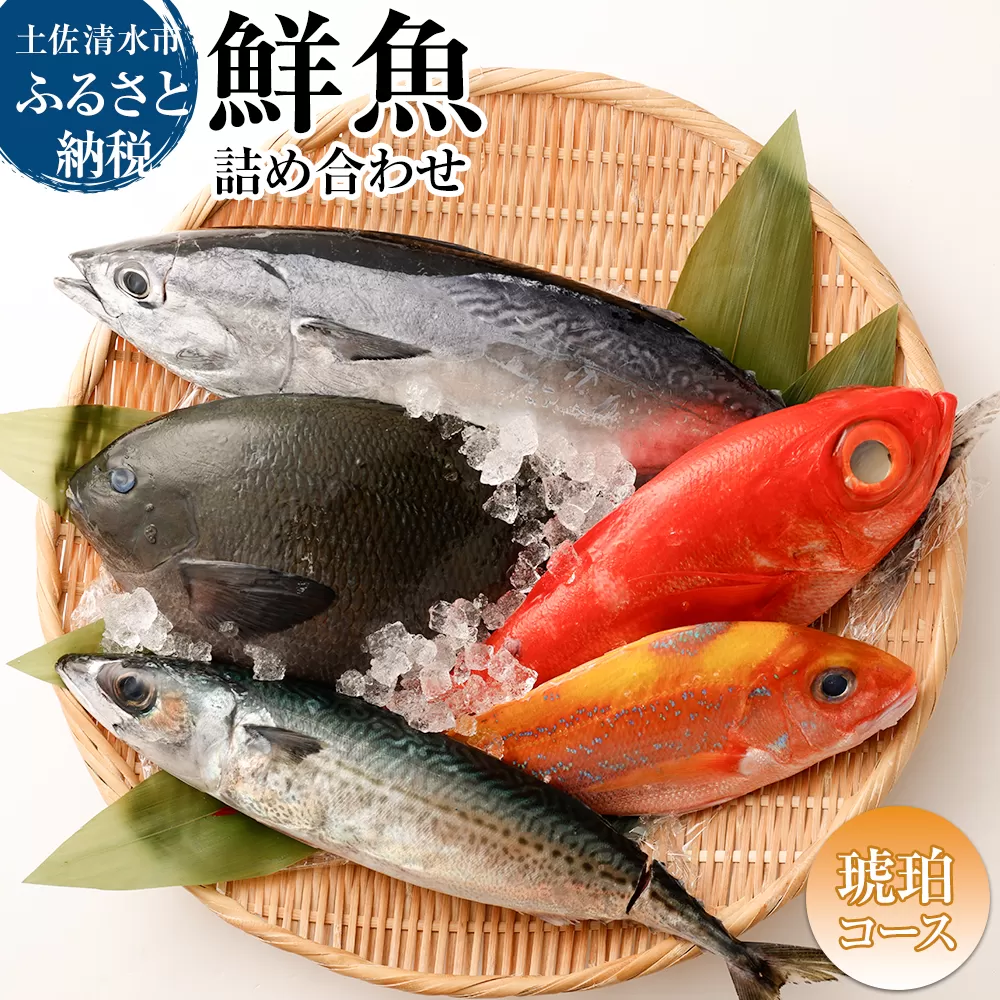 おまかせ！季節の鮮魚 お楽しみセット（琥珀コース）天然魚 食べ比べ 魚介類 海鮮料理 詰め合わせ セット 鮮魚 お楽しみ おまかせ 新鮮 魚 季節の魚 美味しい おいしい 高知 土佐清水市 【R01096】