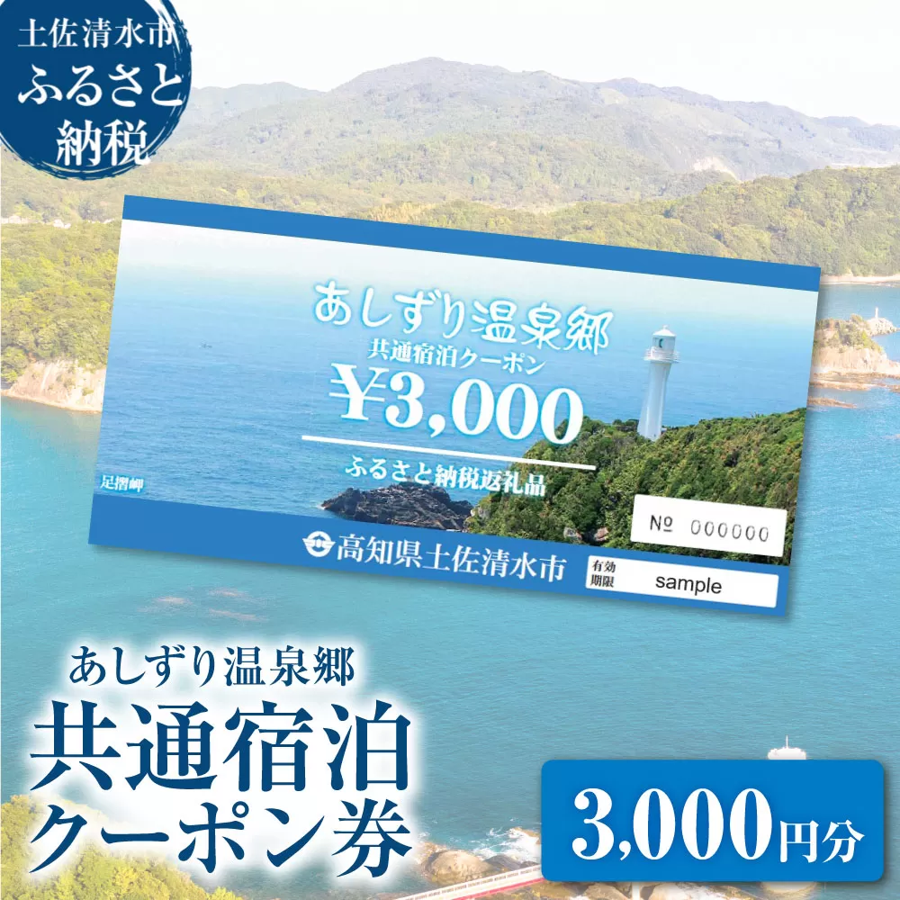 あしずり温泉郷 共通宿泊クーポン券 3,000円分 あしずり温泉郷 旅行券 トラベル ペア 家族 温泉 ホテル 観光 旅行 国内旅行 宿泊 宿泊施設 自然 旅館 高知県 土佐清水市【R01313】