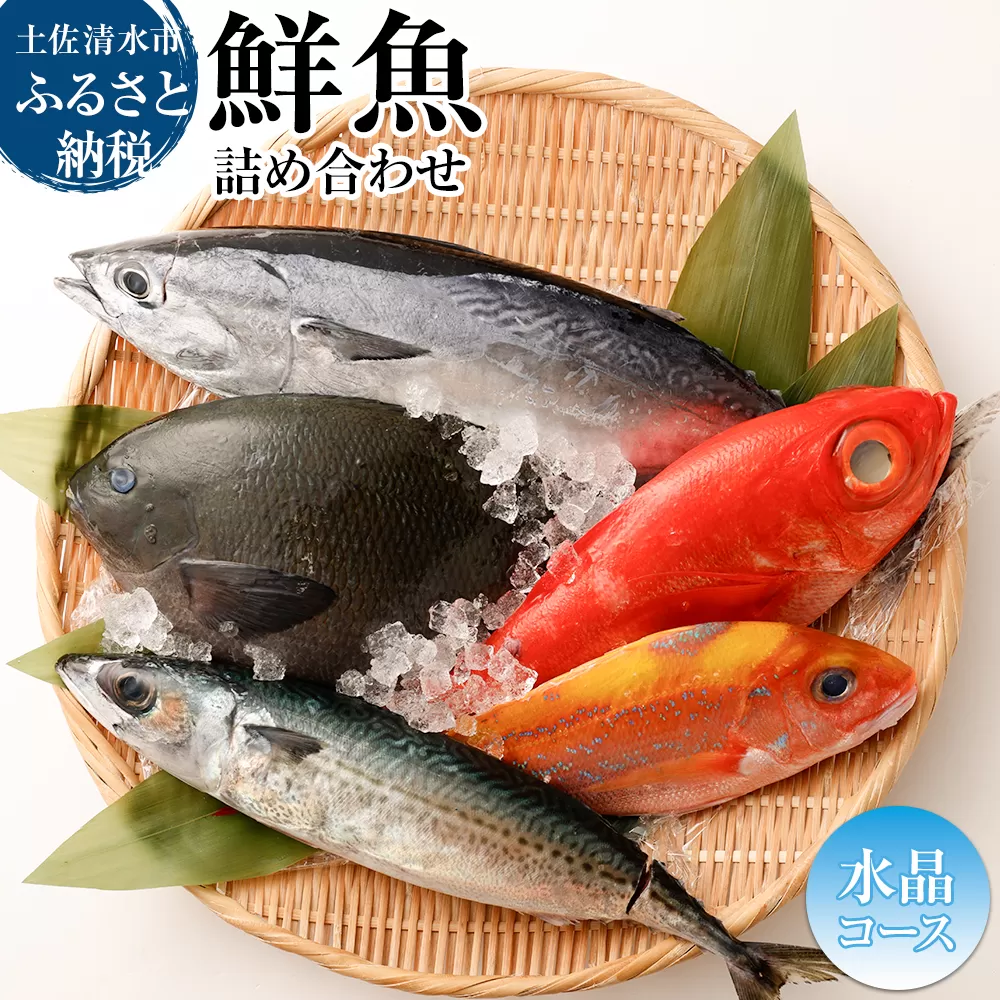 おまかせ!季節の鮮魚 お楽しみセット(2万円 水晶コース)天然魚 食べ比べ 魚介類 海鮮料理 詰め合わせ セット 鮮魚 お楽しみ おまかせ 新鮮 魚 季節の魚 美味しい おいしい 20000円 高知 土佐清水市[R01215]