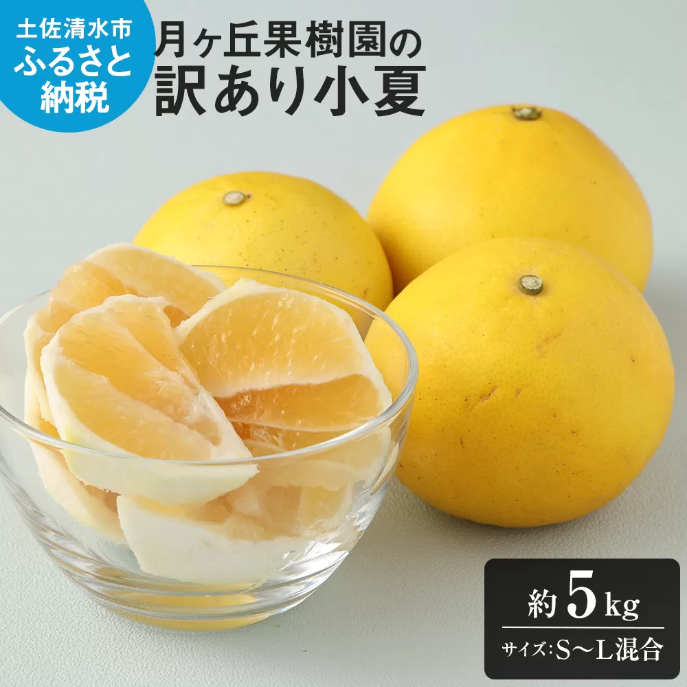 【先行予約】月ヶ丘果樹園の訳あり小夏５kg　家庭用柑橘 日向夏 みかん フルーツ  特産果物【R00177】