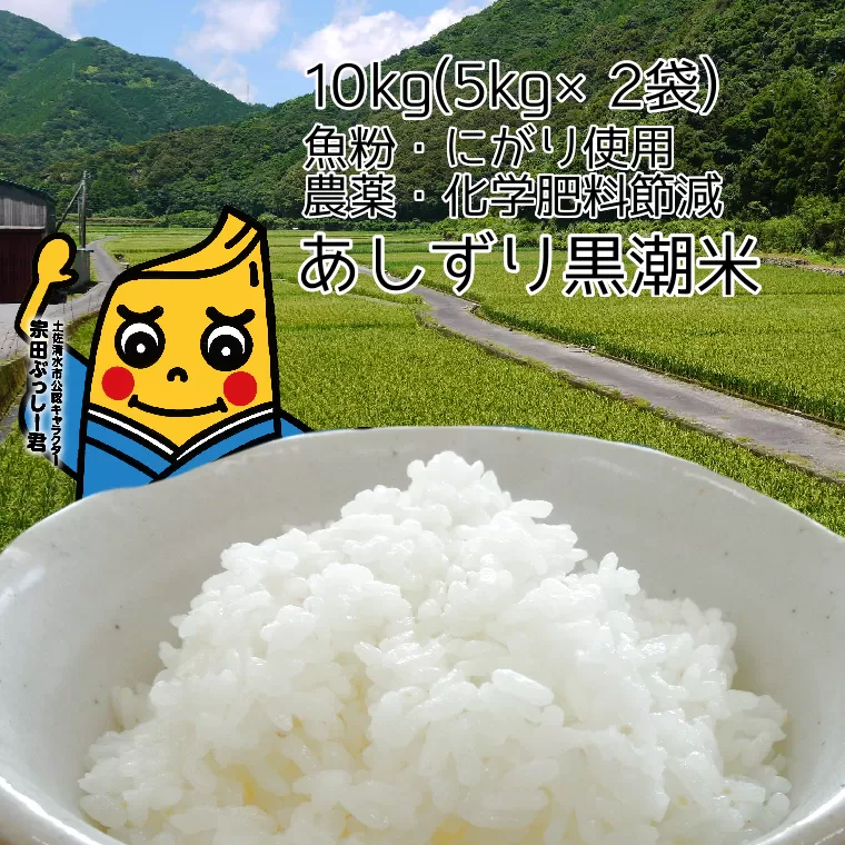 令和6年産  あしずり黒潮米10kg（5kg×2袋）【コシヒカリ】精米 白米 こめ コメ おコメ こしひかり ブランド米 10キロ 国産 送料無料 高知県 にがり【R01306】 