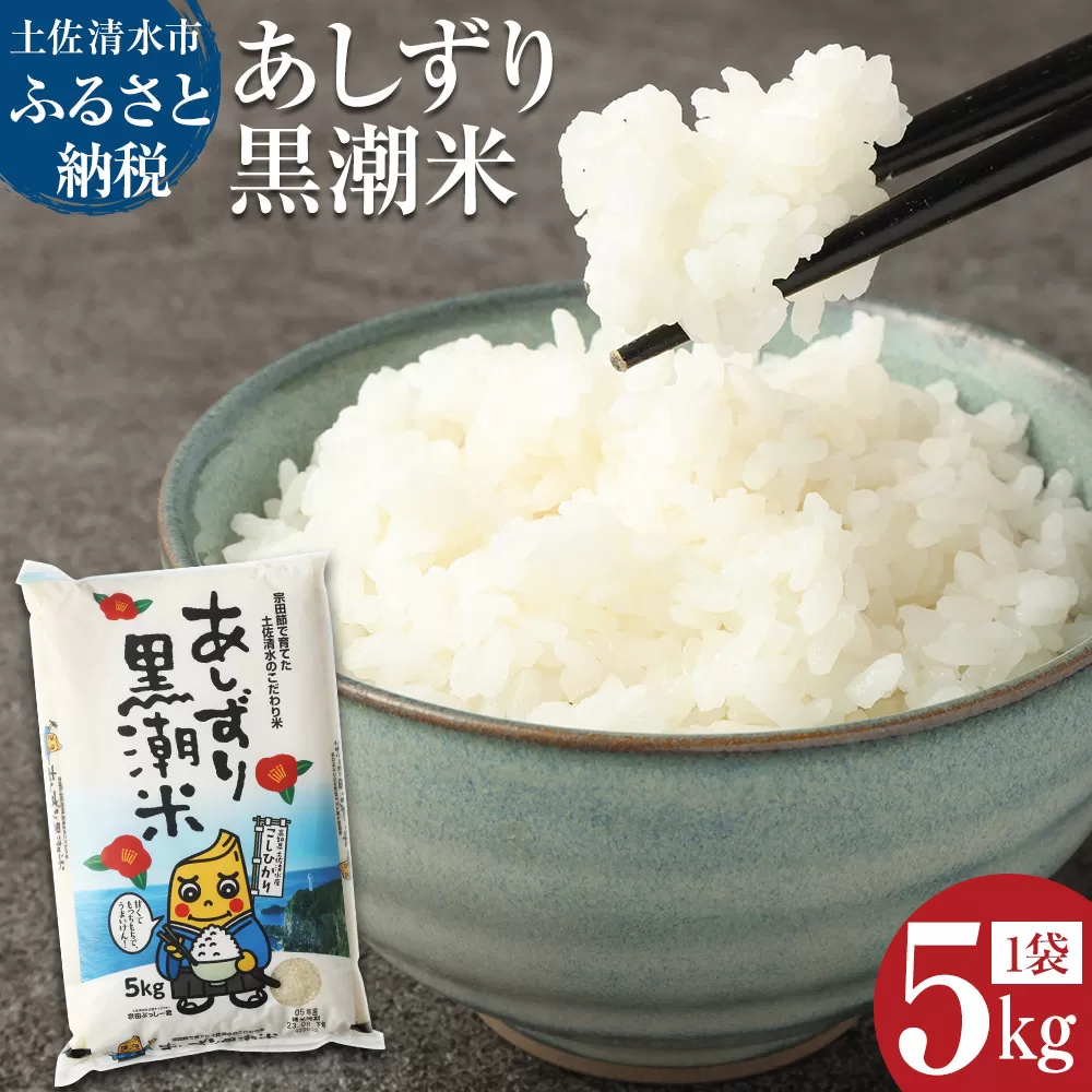 令和6年産 あしずり黒潮米5kg（コシヒカリ）こしひかり 精米 白米 ブランド米 お米 米 コメ ご飯 おにぎり 甘い もちもち 国産 高知産 送料無料 高知県 宗田節で育てた 魚粉 にがり【R01305】