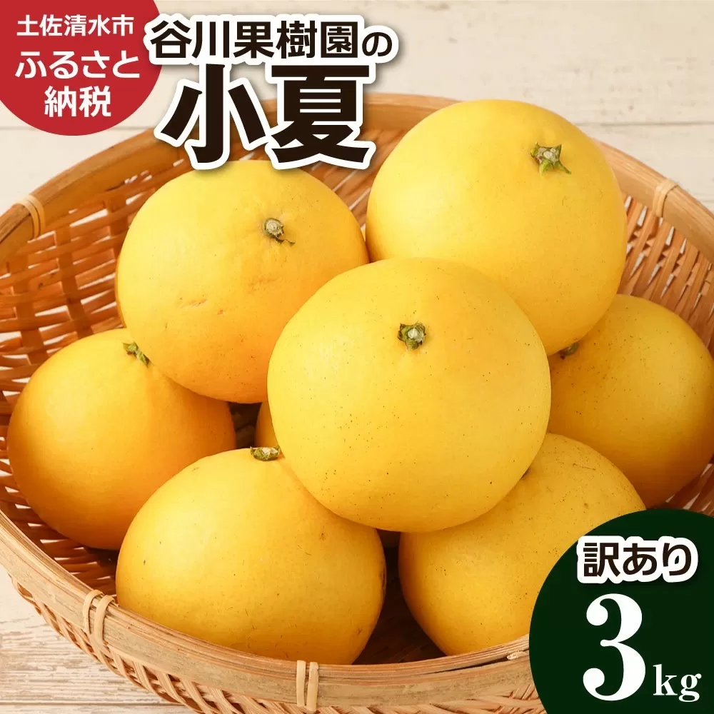 【令和8年4月発送】<訳あり> 谷川果樹園の小夏3kg 日向夏 みかん 柑橘 フルーツ こなつ ニューサマーオレンジ 果物 美味しい ワケあり 訳 自宅用 おやつ 高知 【R01146】
