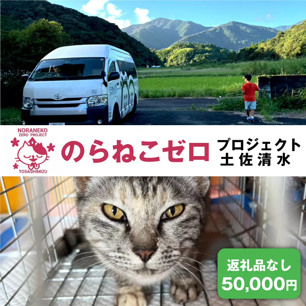 のらねこゼロプロジェクト 一口 50,000円（15,000円分）返礼品なし 保護猫 ネコ 猫 ねこ 動物 保護 愛護 TNR活動応援 支援 寄付 殺処分ゼロ クラウンドファンディング クラファン【R01385】
