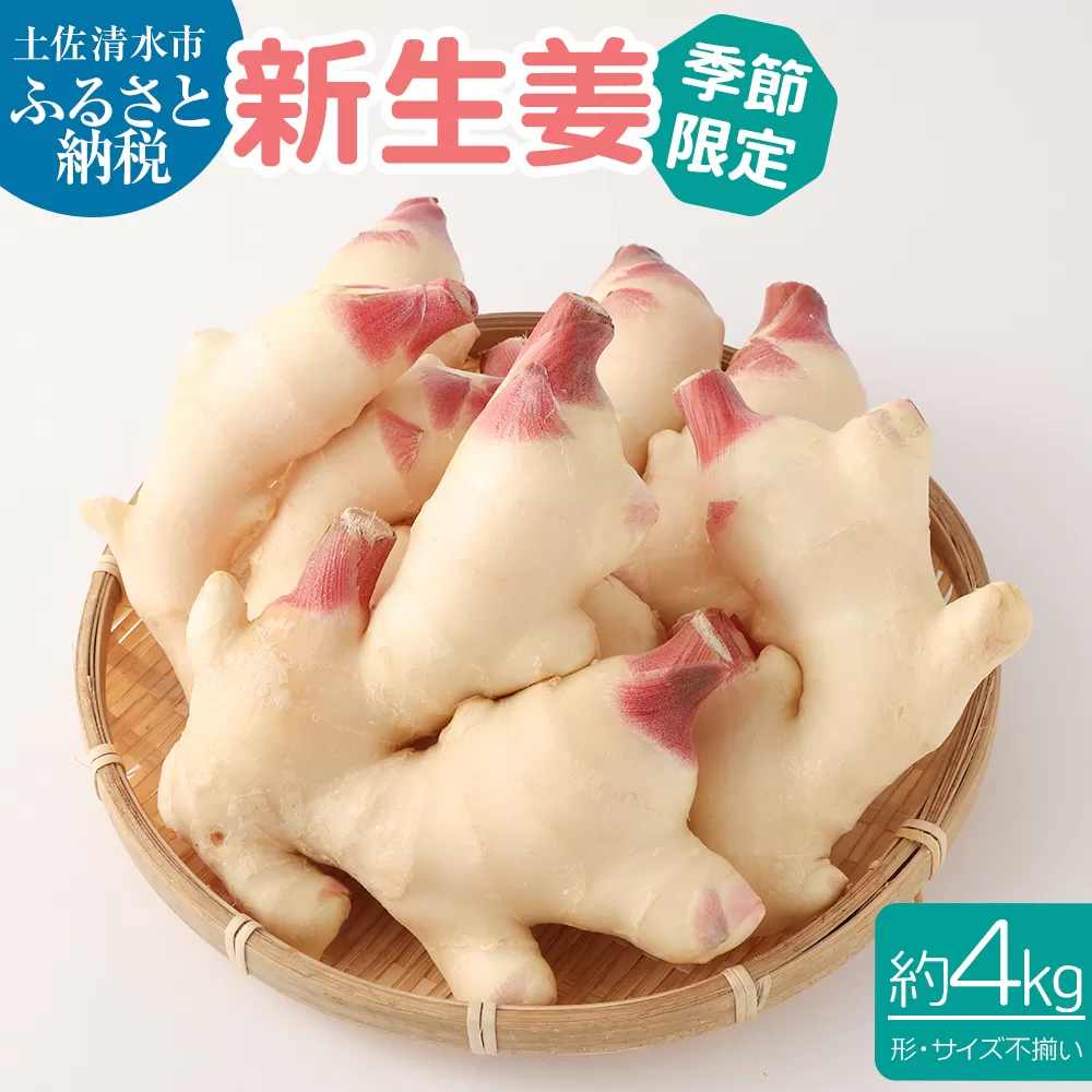 新生姜４kg（季節限定・農家直送）甘酢漬け ガリ 佃煮 ジンジャーエール ショウガ