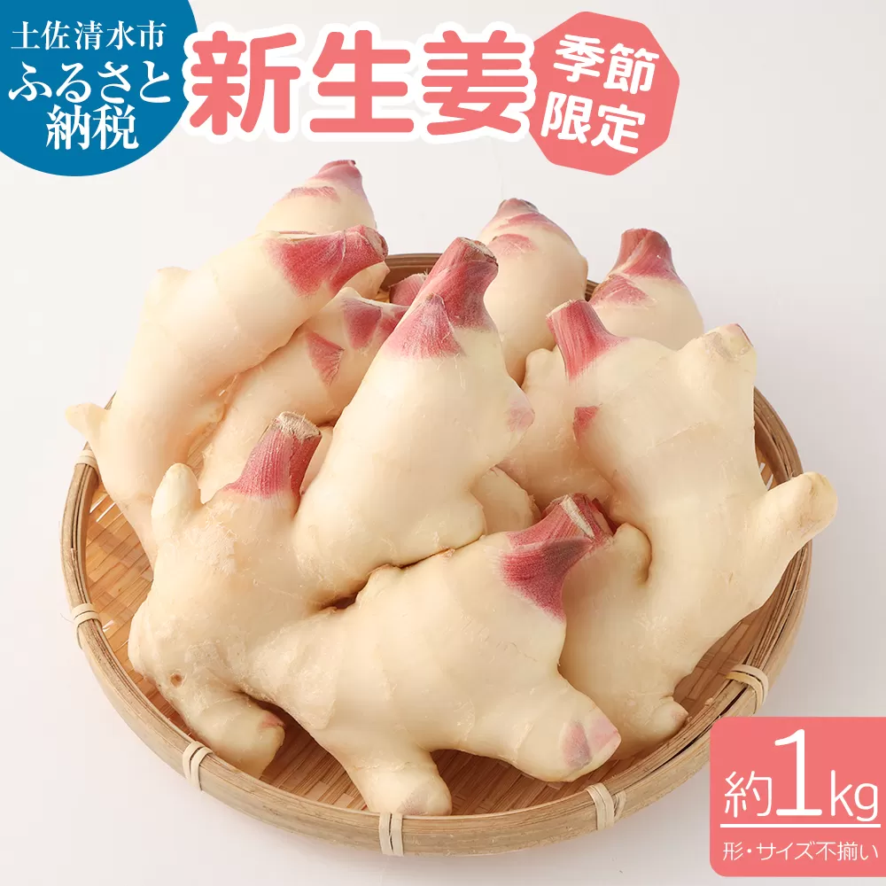 【先行予約】新生姜１kg（季節限定・農家直送）甘酢漬け ガリ 佃煮 ジンジャーエール ショウガ