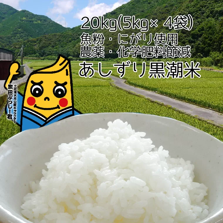 令和6年産  あしずり黒潮米20kg（5kg×4袋）10キログラム 【コシヒカリ】 こしひかり 精米 白米 ブランド米 銘柄米 お米 おコメ 米 こめ ご飯 ごはん おにぎり おいしい 高知県 高知 にがり【R01308】