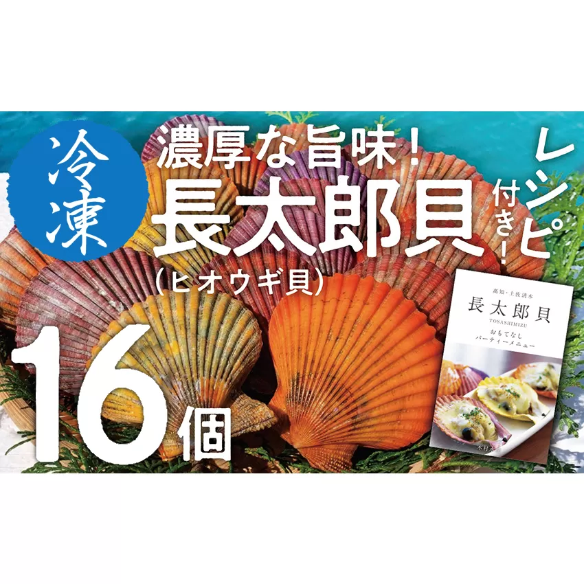 『先行予約』黒潮の恵 冷凍 ヒオウギ貝16個セット（ホタテの仲間）アウトドア キャンプ バーベキュー 魚貝 殻付 貝柱 酒蒸し 真空パック【R00803】