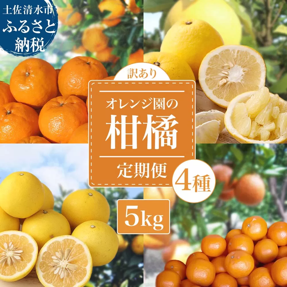 【令和８年発送 訳あり】 オレンジ園の柑橘4種（ぽんかん・文旦・タンカン・小夏）各5kg 4回定期便 ポンカン ぶんたん 果物 蜜柑 みかん ミカン 柑橘 フルーツ デザート 常温 配送【J00100】