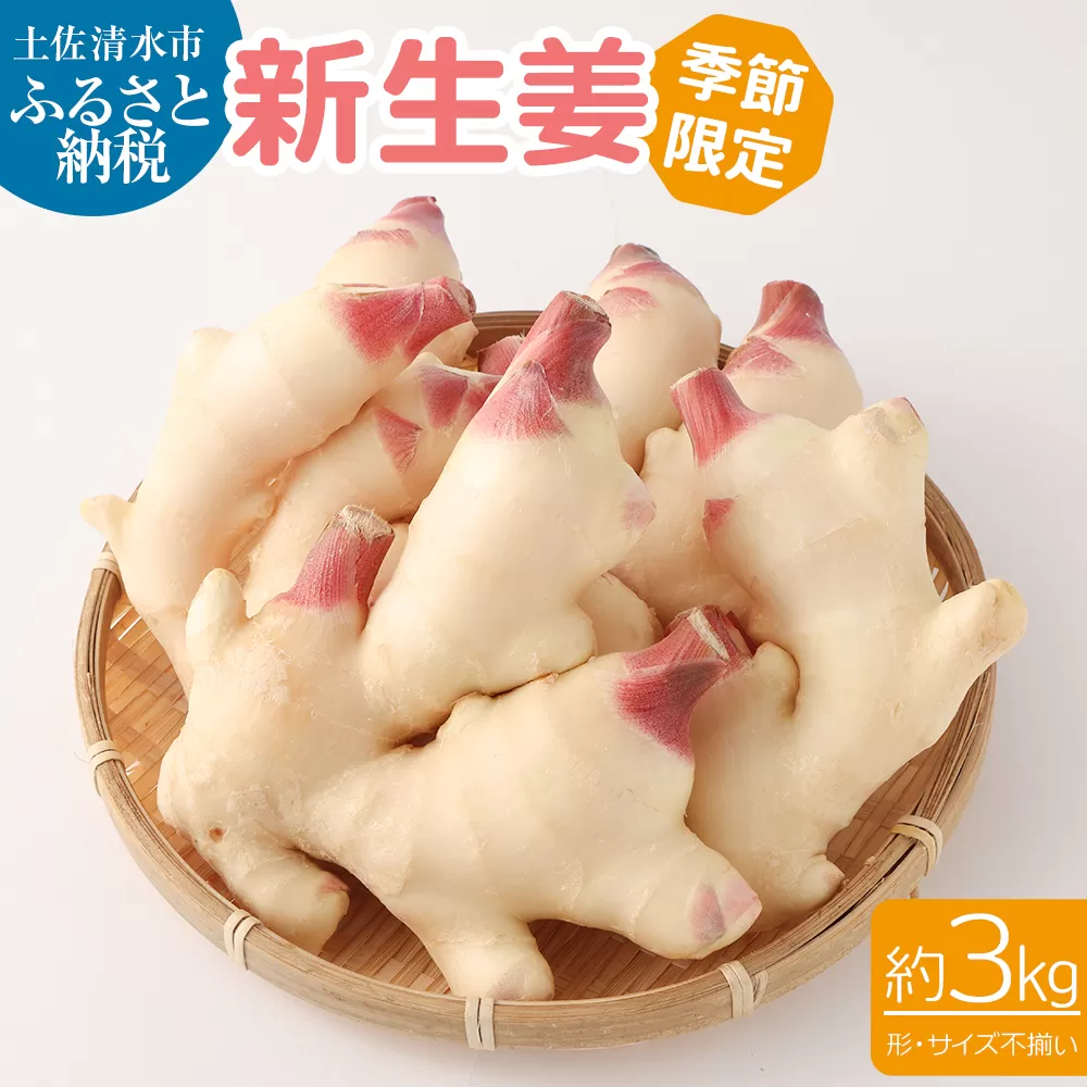 【先行予約】新生姜３kg（季節限定・農家直送）甘酢漬け ガリ 佃煮 ジンジャーエール ショウガ