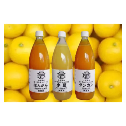 柑橘果汁飲料 希釈用1L×3本セット(全4種から選べる風味・自家製柑橘使用)みかんジュース チューハイ用 ぽんかん味 タンカン味 土佐文旦味 小夏味 ドリンク[R00539]
