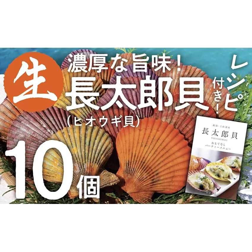 『先行予約』ヒオウギ貝10個セット（ホタテの仲間）アウトドア キャンプ 海鮮BBQ 魚貝 刺身 生 貝殻付 活 貝柱 酒蒸し バーベキュー【R00082】