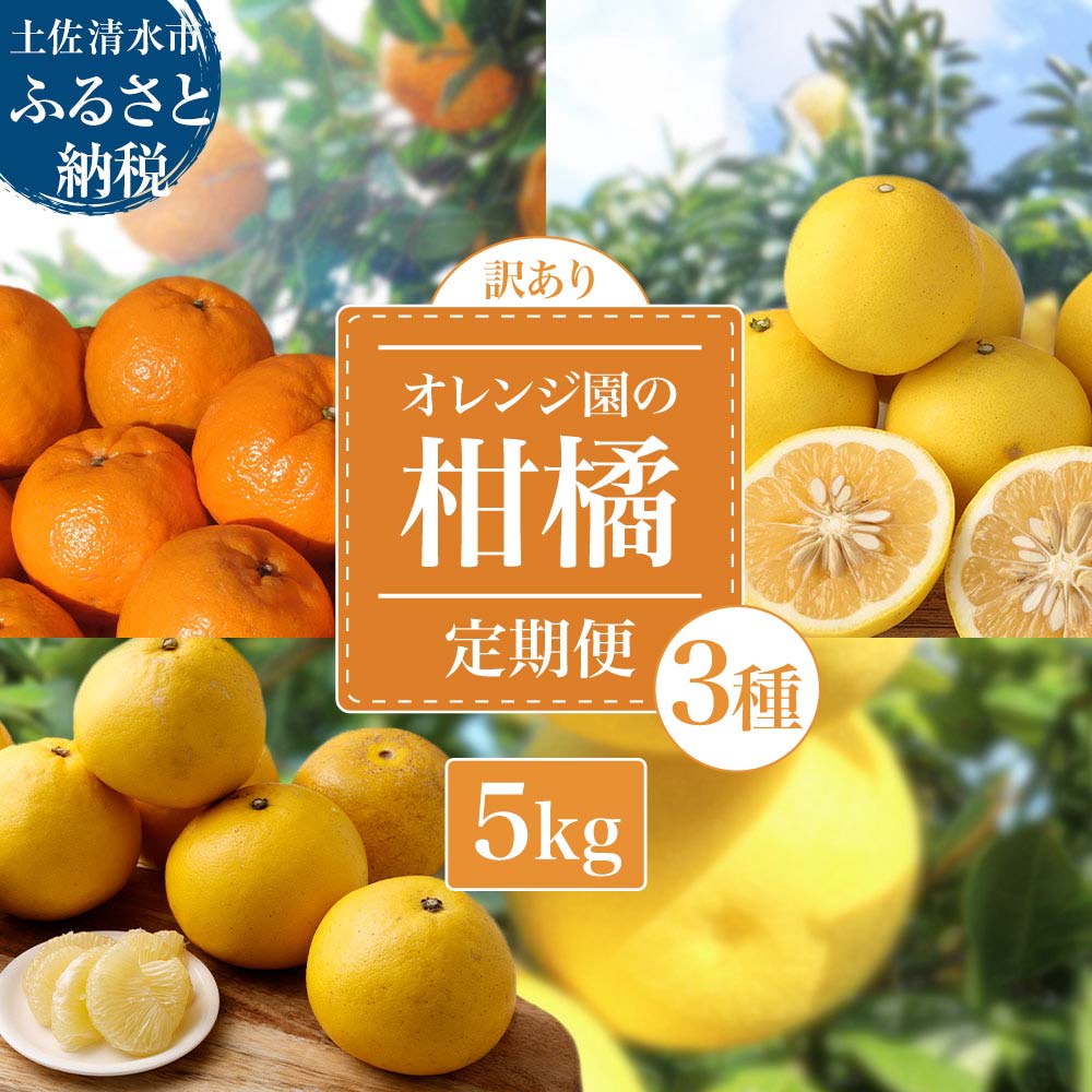 先行予約 訳あり】 オレンジ園の柑橘3種（ぽんかん・文旦・小夏