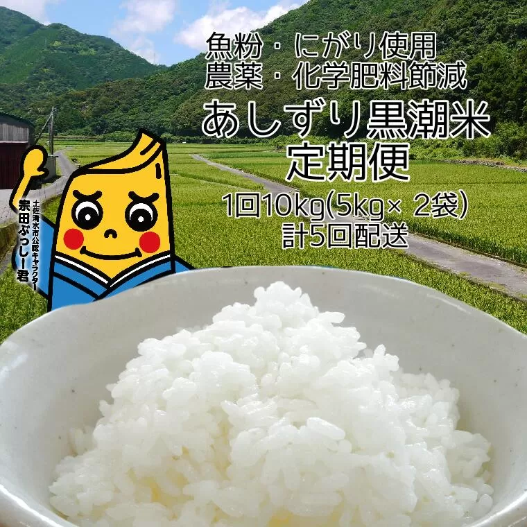 【5回定期便】あしずり黒潮米10kg(5kg×2袋)×5回 定期便 5回 【コシヒカリ】 こしひかり 精米 白米 お米 おコメ 米 ブランド米 ご飯 ごはん おにぎり おいしい 国産 高知県 高知【J00181】