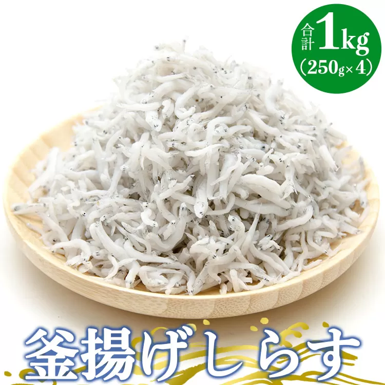 土佐名産 釜揚げしらす 合計1kg（約250g×4）- シラス じゃこ ちりめん ご飯のお供 食事 丼 おつまみ 酒の肴 魚 ギフト 贈答 贈り物 送料無料 高知県 香南市 冷凍