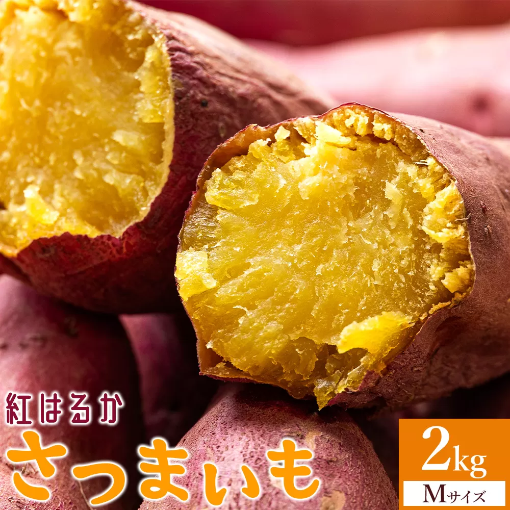 さつまいも(紅はるか) Mサイズ 2kg - サツマイモ さつま芋 野菜 焼き芋 やきいも 焼いも 蒸し芋 おやつ スイーツ スイートポテト 国産 アスタ農園 高知県 香南市【常温】 at-0058