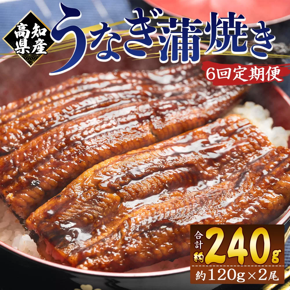 【６回定期便】高知県産養殖うなぎ蒲焼き 100〜120g 2尾 うなぎ 魚介 国産 海鮮 魚 かばやき 鰻 ウナギ 惣菜 おかず お手軽 加工品 加工食品 冷凍 Wfb-0039
