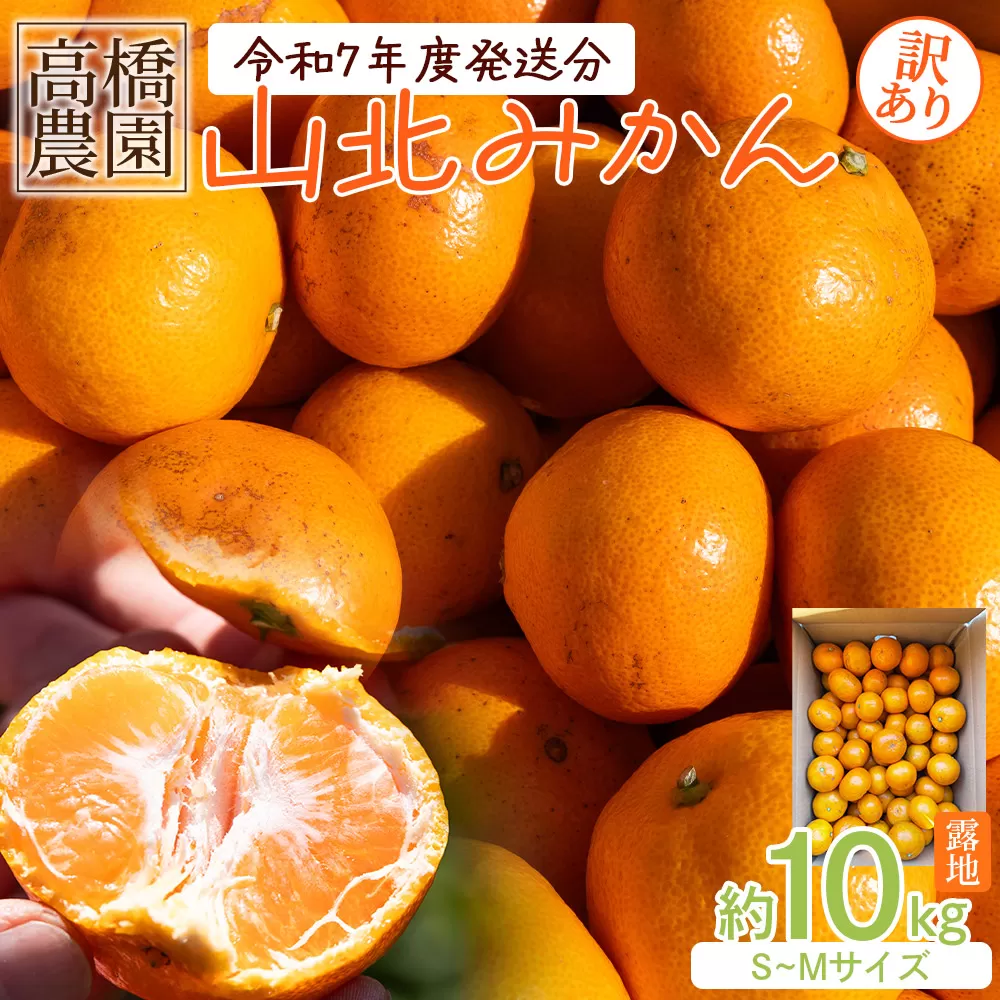 高橋農園 みかん 10kg 訳アリ 山北みかん 露地(S〜M) B品 高橋農園 訳あり - 果物 フルーツ ミカン 蜜柑 柑橘 家庭用 自宅用 新鮮 農家直送 露地 th-0018
