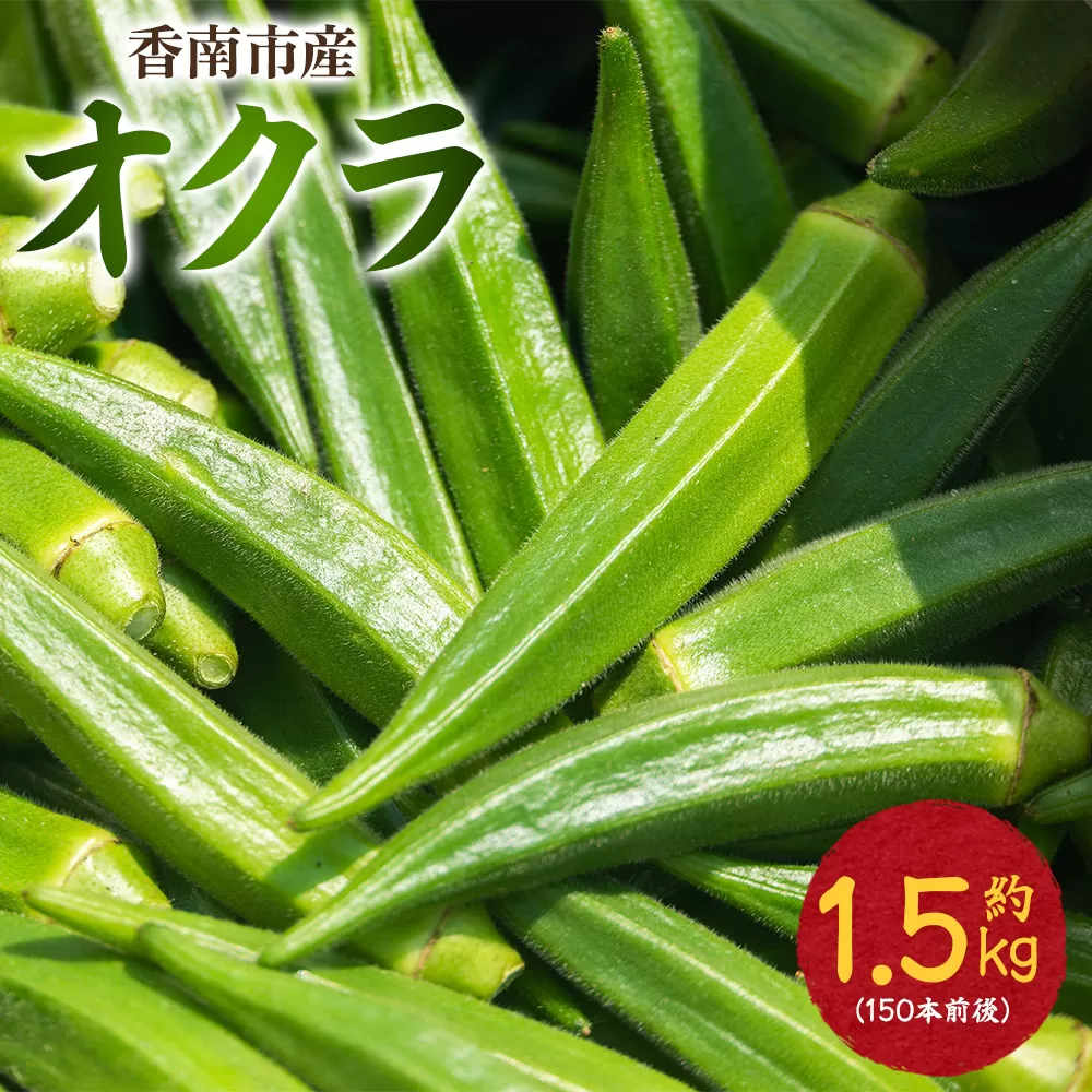 【2026年発送分】オクラ 1.5kg(150本前後) - おくら 野菜 やさい 新鮮 朝どれ 朝採れ 朝収穫 季節 旬 露地栽培 国産 香南市産 おきゃんぴー農園 高知県 香南市 冷蔵 on-0033