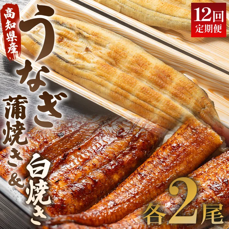 うなぎ 定期便 12回 うなぎ 蒲焼き 白焼き セット 120g 各2尾(無頭) 魚介 国産 海鮮 魚 かばやき 鰻 ウナギ 惣菜 おかず お手軽 しらやき 加工品 加工食品 冷凍 Wun-0108