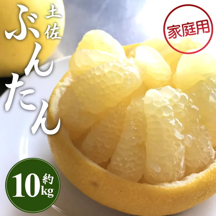 【先行予約】訳あり 土佐文旦 約10kg(家庭用 2L〜4Lサイズ)- 期間限定 送料無料 果物 フルーツ 柑橘 高知県産 ぶんたん ブンタン ざぼん ザボン 季節限定 デザート 傷 お取り寄せ 産地直送 特産品 間城農園 高知県 香南市 常温 ms-0095