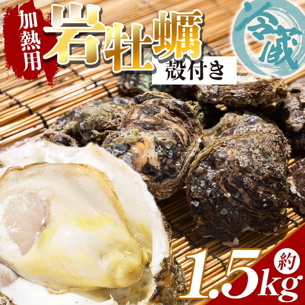 【先行受付】岩牡蠣(殻付き) 1.5kg 冷蔵 加熱用 ＜出荷期間：2026年5月～10月＞ 国産 カキ かき 牡蠣 魚介 海鮮 貝類 殻つき 天然 産地直送 肉厚 フライ 焼き牡蠣 海の幸 えび蔵 高知県 香南市 冷蔵 eb-0033
