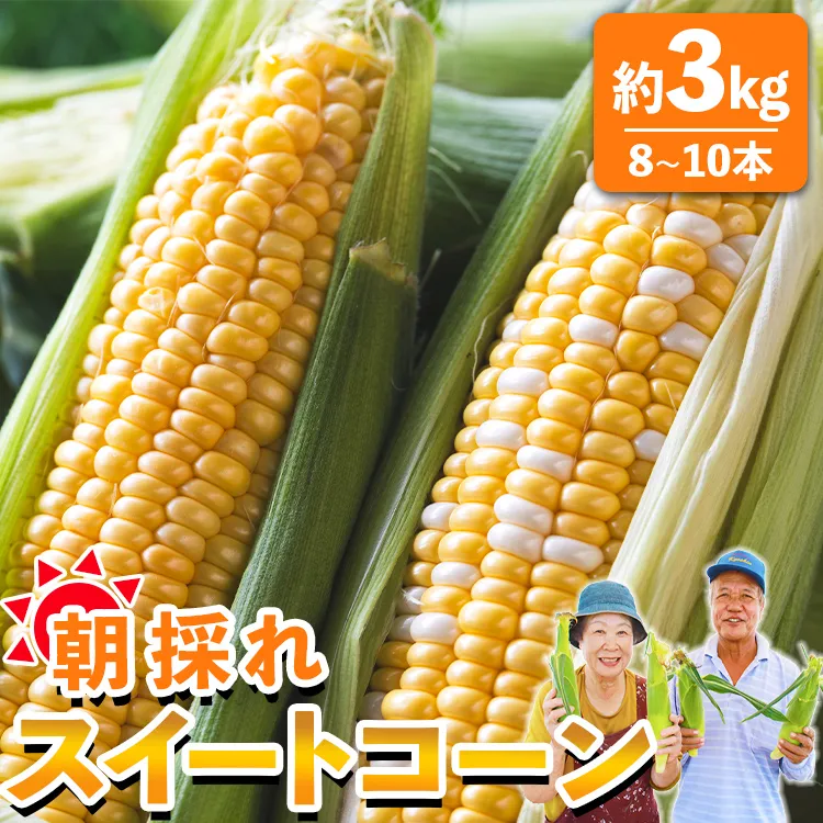先行予約受付中！朝採れスイートコーン 約3kg（8〜10本）- 野菜 とうもろこし トウモロコシ とうきび トウキビ BBQ キャンプ 旬 おやつ 特産品 数量限定 季節限定 期間限定 sg-0005