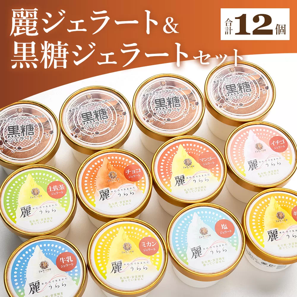麗ジェラートと黒糖ジェラート 12個セット - アイスクリーム デザート スイーツ お菓子 洋菓子 詰合せ 詰め合わせ アソート フレーバー ギフト 贈り物 ドルチェかがみ 高知県 香南市 冷凍