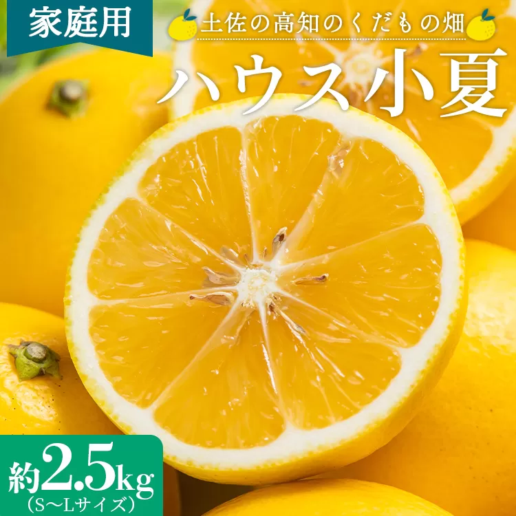 [2026年出荷分 先行予約]ハウス小夏 約2.5kg(家庭用)- 訳アリ 訳あり 日向夏 ニューサマーオレンジ 果物 くだもの 果実 蜜柑 みかん ミカン フルーツ オレンジ 柑橘 こなつ 果汁 甘い 瑞々しい みずみずしい フレッシュ 爽やか さわやか 国産 送料無料 土佐の高知のくだもの畑 高知県 香南市 kd-0029
