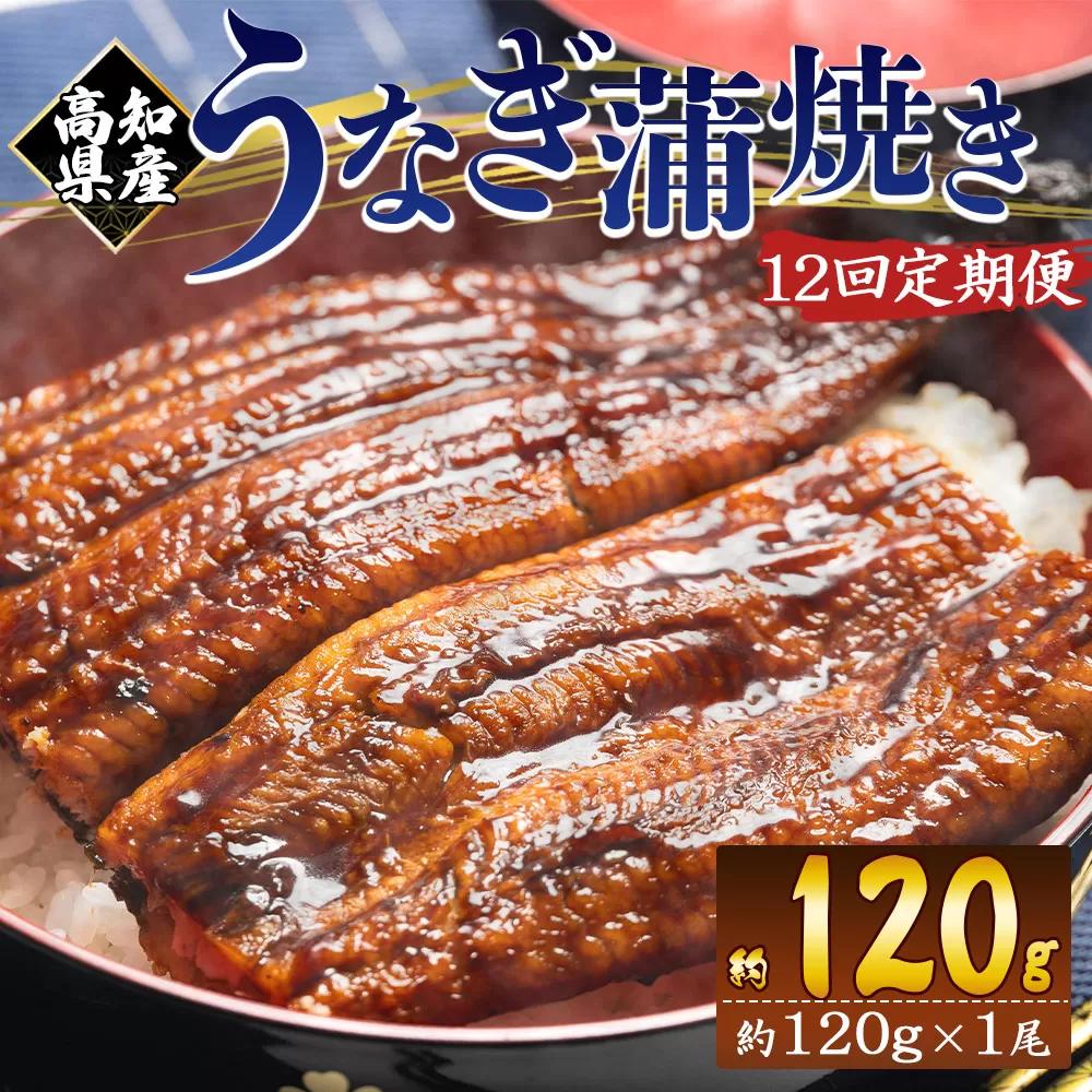 【12回定期便】高知県産養殖うなぎ蒲焼き 100〜120g 1尾 うなぎ 魚介 国産 海鮮 魚 かばやき 鰻 ウナギ 惣菜 おかず お手軽 加工品 加工食品 冷凍 Wfb-0036