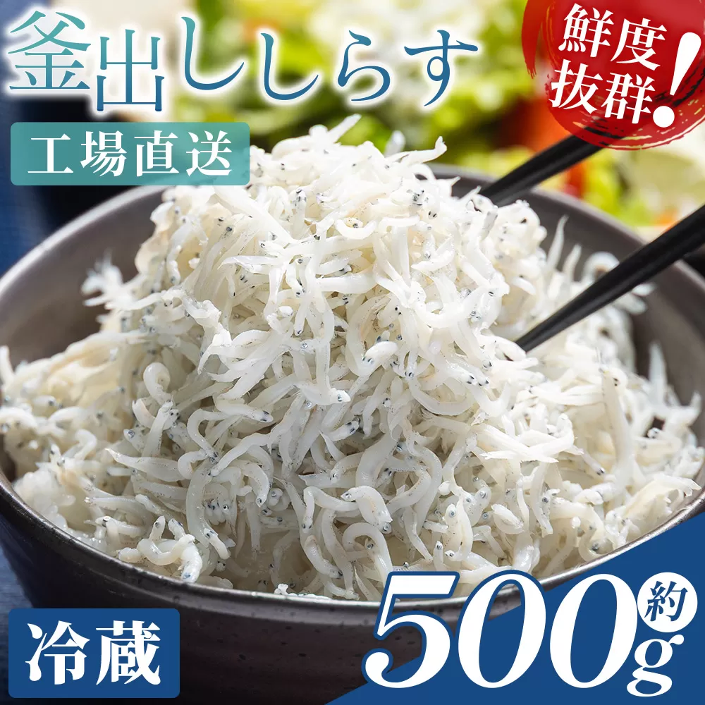 [冷蔵]釜出ししらす(ちりめん) 約500g - 国産 ちりめん しらす シラス 稚魚 魚介 魚 海産物 釜茹で ドロメ サラダ 和え物 アレンジ 料理 ご飯のお供 三浦屋海産 高知県 香南市 冷蔵 mu-0009